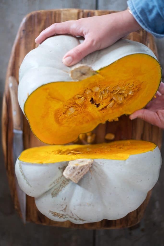 zucca