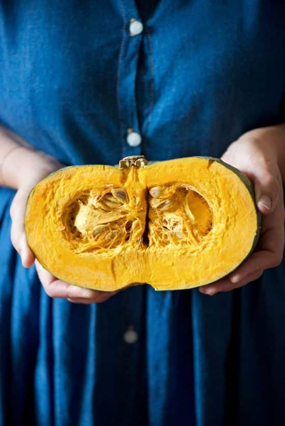 zucca