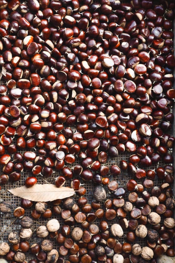 castagne 3