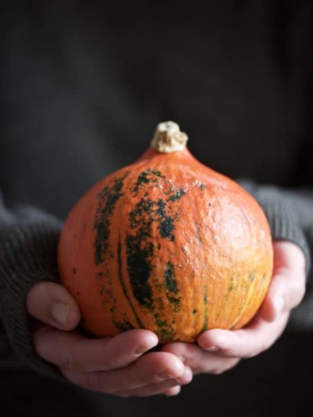 Workshop: zucca mon amour