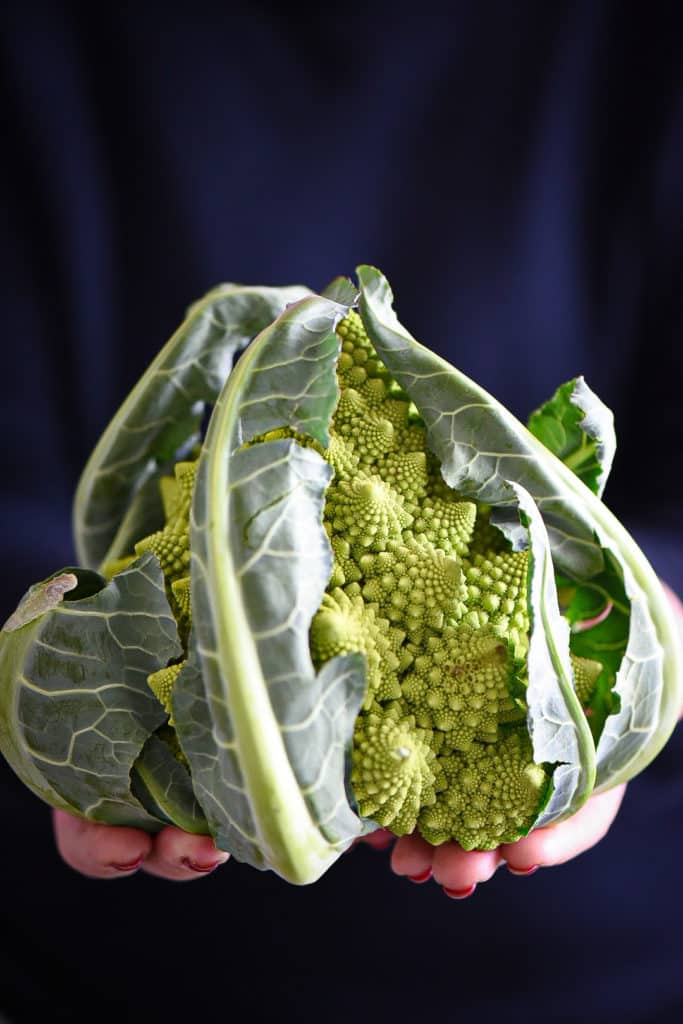 Ricettina: paccheri al broccolo romanesco con crema di parmigiano ...
