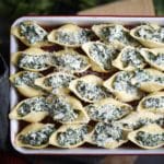 conchiglioni farciti con ricotta e spinaci in teglia